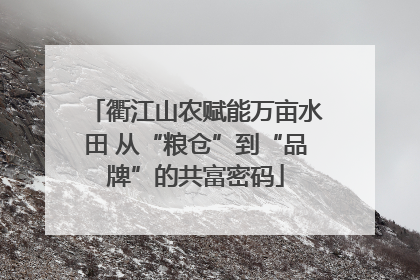 衢江山农赋能万亩水田 从“粮仓”到“品牌”的共富密码