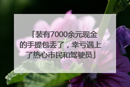 装有7000余元现金的手提包丢了，幸亏遇上了热心市民和驾驶员