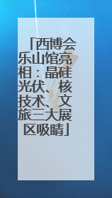 西博会乐山馆亮相：晶硅光伏、核技术、文旅三大展区吸睛