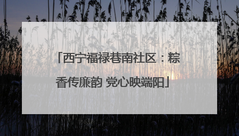 西宁福禄巷南社区：粽香传廉韵 党心映端阳