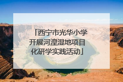 西宁市光华小学开展河湟湿地项目化研学实践活动