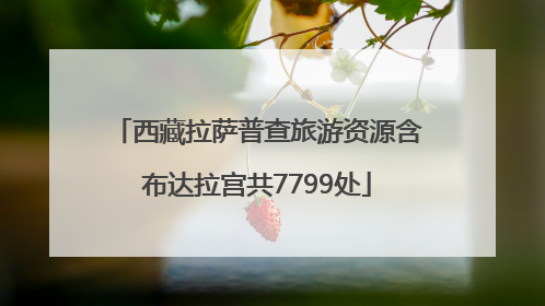 西藏拉萨普查旅游资源含布达拉宫共7799处