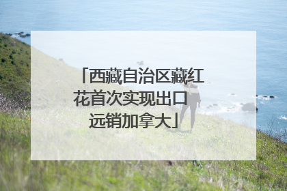 西藏自治区藏红花首次实现出口 远销加拿大