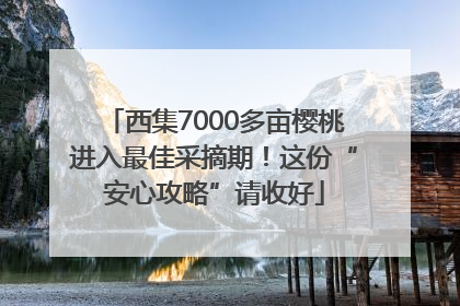 西集7000多亩樱桃进入最佳采摘期！这份“安心攻略”请收好