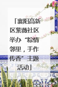 襄阳高新区紫薇社区举办“粽情邻里，手作传香”主题活动