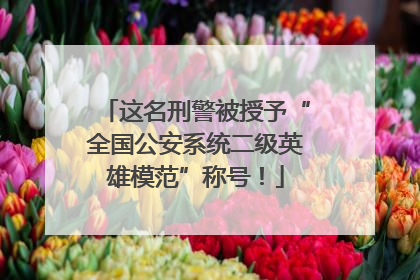 这名刑警被授予“全国公安系统二级英雄模范”称号！