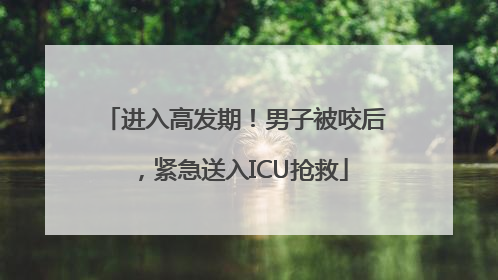 进入高发期！男子被咬后，紧急送入ICU抢救
