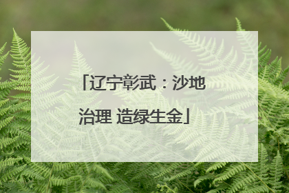 辽宁彰武：沙地治理 造绿生金