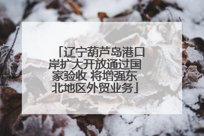 辽宁葫芦岛港口岸扩大开放通过国家验收 将增强东北地区外贸业务