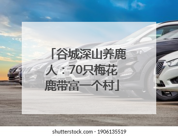 谷城深山养鹿人：70只梅花鹿带富一个村