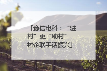 豫信电科：“驻村”更“助村” 村企联手话振兴
