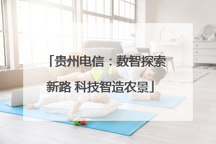 贵州电信：数智探索新路 科技智造农景