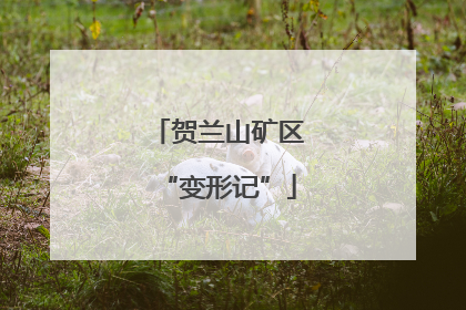 贺兰山矿区“变形记”