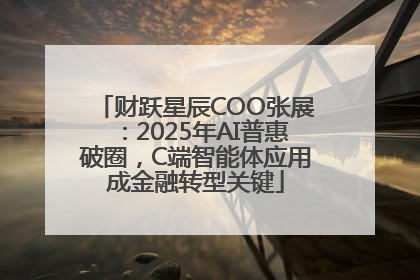 财跃星辰COO张展：2025年AI普惠破圈，C端智能体应用成金融转型关键