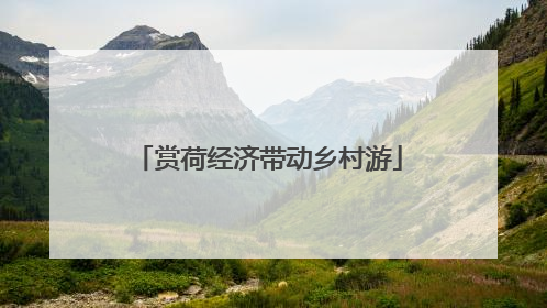 赏荷经济带动乡村游