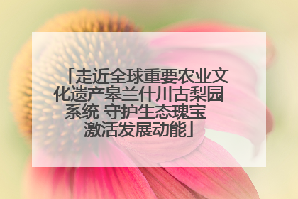 走近全球重要农业文化遗产皋兰什川古梨园系统 守护生态瑰宝 激活发展动能