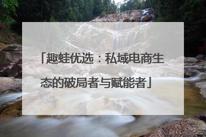 趣蛙优选：私域电商生态的破局者与赋能者