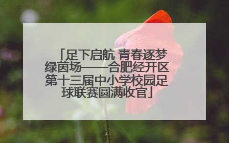 足下启航 青春逐梦绿茵场——合肥经开区第十三届中小学校园足球联赛圆满收官