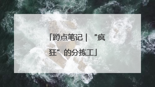 蹲点笔记｜“疯狂”的分拣工