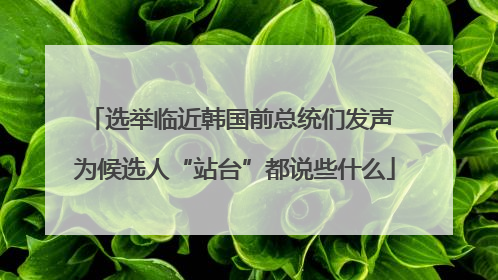 选举临近韩国前总统们发声 为候选人“站台”都说些什么