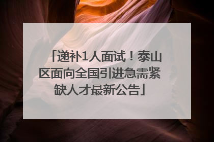 递补1人面试！泰山区面向全国引进急需紧缺人才最新公告