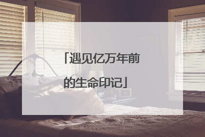 遇见亿万年前的生命印记