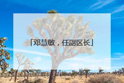 邓慧敏，任副区长