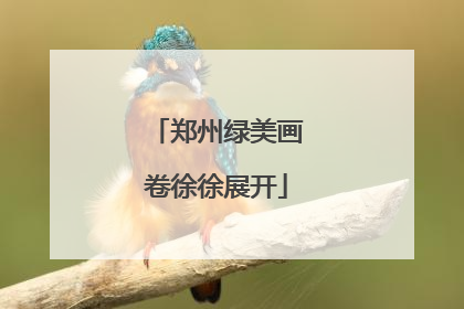 郑州绿美画卷徐徐展开