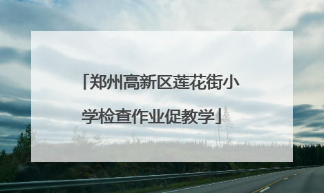 郑州高新区莲花街小学检查作业促教学