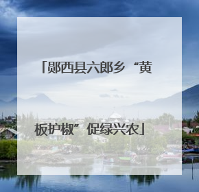 郧西县六郎乡“黄板护椒”促绿兴农