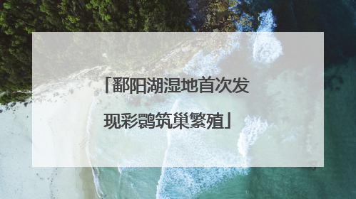鄱阳湖湿地首次发现彩鹮筑巢繁殖