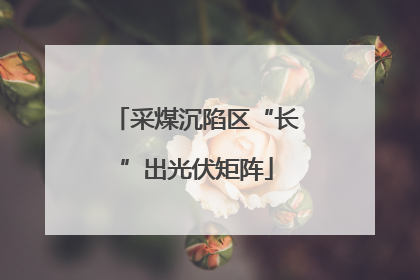 采煤沉陷区“长”出光伏矩阵