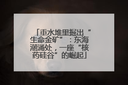 重水堆里掘出“生命金矿”：东海潮涌处，一座“核药硅谷”的崛起