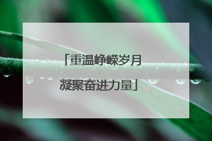 重温峥嵘岁月 凝聚奋进力量