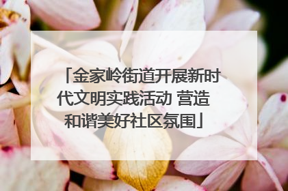金家岭街道开展新时代文明实践活动 营造和谐美好社区氛围