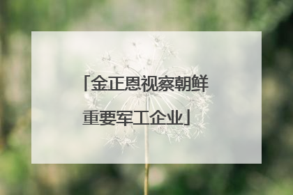 金正恩视察朝鲜重要军工企业
