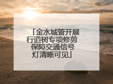 金水城管开展行道树专项修剪 保障交通信号灯清晰可见