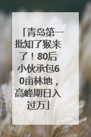 青岛第一批知了猴来了！80后小伙承包60亩林地，高峰期日入过万