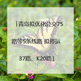 青岛拟优化公交75路等5条线路 拟停运37路、K20路