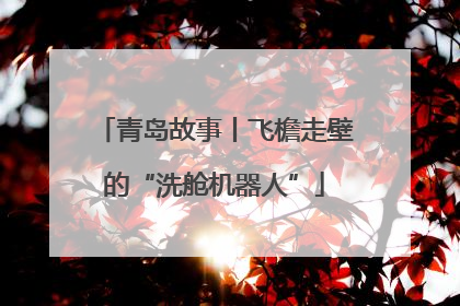 青岛故事丨飞檐走壁的“洗舱机器人”