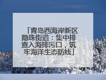青岛西海岸新区隐珠街道：集中排查入海排污口，筑牢海洋生态防线