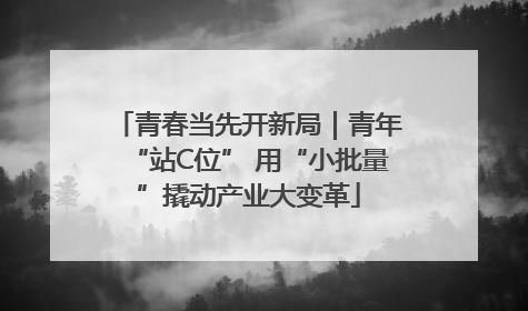 青春当先开新局｜青年“站C位” 用“小批量”撬动产业大变革