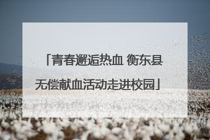 青春邂逅热血 衡东县无偿献血活动走进校园