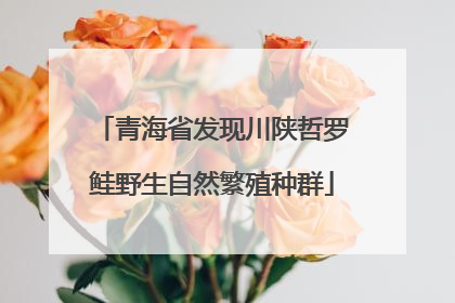 青海省发现川陕哲罗鲑野生自然繁殖种群