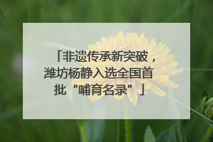 非遗传承新突破，潍坊杨静入选全国首批“哺育名录”