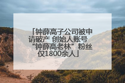 钟薛高子公司被申请破产 创始人账号“钟薛高老林”粉丝仅1800余人