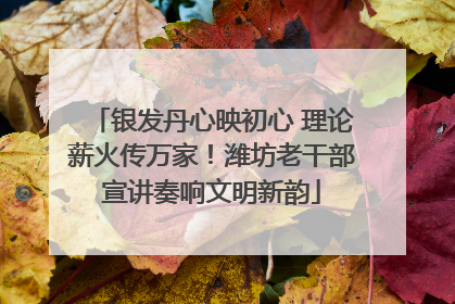 银发丹心映初心 理论薪火传万家！潍坊老干部宣讲奏响文明新韵