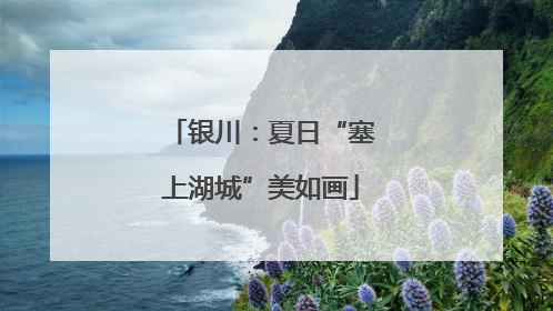 银川：夏日“塞上湖城”美如画