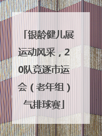 银龄健儿展运动风采，20队竞逐市运会（老年组）气排球赛