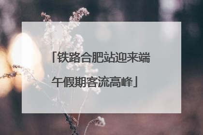 铁路合肥站迎来端午假期客流高峰